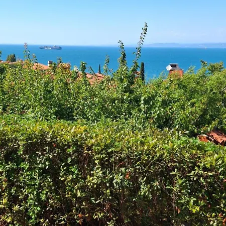 Veromar 公寓 科佩尔